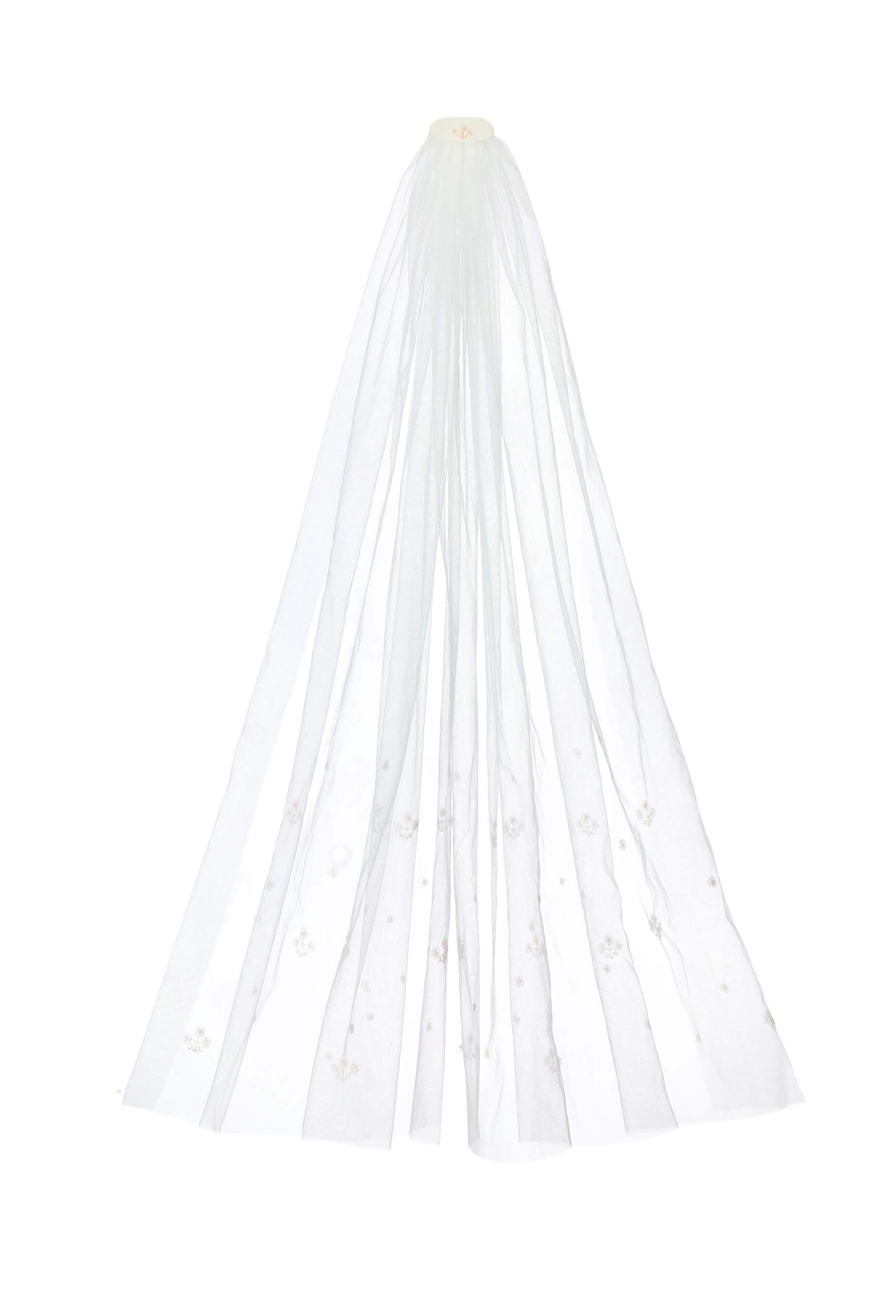 Alice Veil